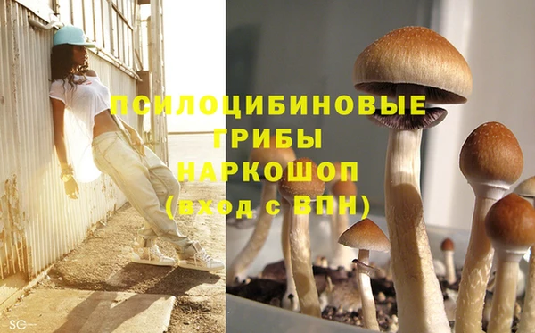 экстази Баксан
